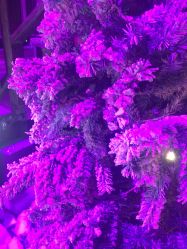 -圣名游乐城冰雪大世界