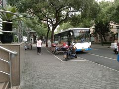 -上海大学附属上海和平眼科医院