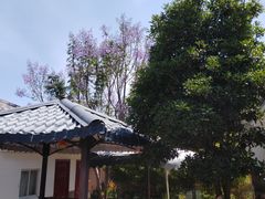 -瑞丰园庭院餐厅·白族传统家常菜