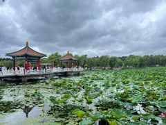 -长春市南湖公园