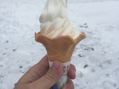 -小樽运河广场(運河プラザ)