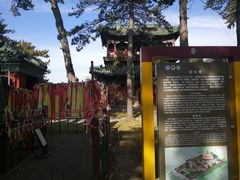 -普乐寺
