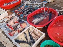 -雪绒花路停车场