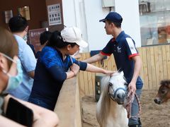 -哈尔滨龙晟一汽丰田4S店(民生路店)