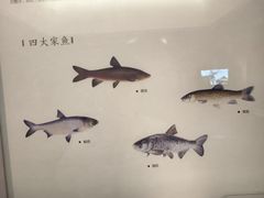 -湖州博物馆