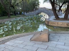 -北陵公园