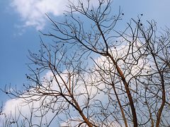 -白鹭湾湿地公园