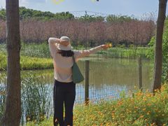 -上海长兴岛郊野公园