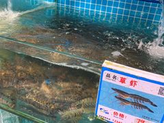 -琼大师东方烤乳猪(亚特兰蒂斯店)