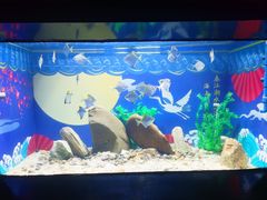 -烟台海昌鲸鲨海洋公园