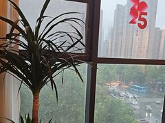-鸽子侯·家宴·平价海鲜(绿地店)