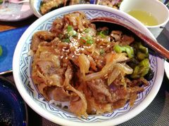 -木叶村
