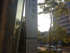 -大王基(地铁站)