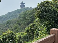 -杭州半山国家森林公园