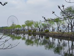 -无锡蠡湖国家湿地公园-蠡园