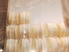 -東更道点心行(崂山丽达店)