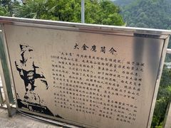 -大金鹰园