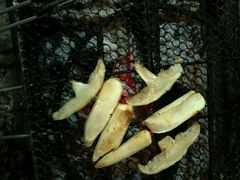 -蘑统田下·野生菌火锅