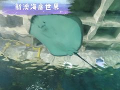 -秦皇岛新澳海底世界