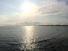 -东郊椰林