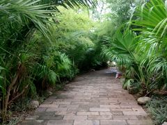 android_upload_pic-五甲塘生态湿地公园