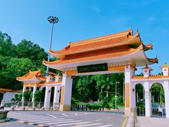 -深圳市中科院仙湖植物园