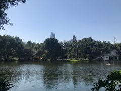-晓港公园