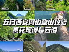 -朱雀国家森林公园