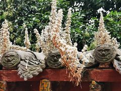 -函谷关历史文化旅游区