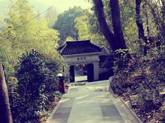 psb(8)-上海佘山国家森林公园西佘山园