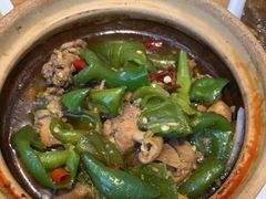 -老乡鸡(新邻天地店)