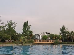 -浦鸿会游泳健身中心·Ambassy Club PD(金桥碧云国际社区店)
