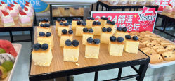 -武汉汉口喜来登大酒店·宴会厅