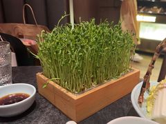 -捞王猪肚鸡火锅(金华义乌之心店)