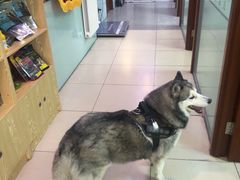 -全心全意连锁动物医院·特色中医诊疗(会城门分院)