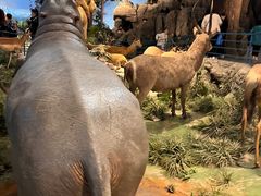 -陕西自然博物馆