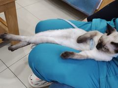 -美迦爱-牙专科·兔科·骨科诊疗中心(北苑店)