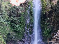 -莫里热带雨林景区