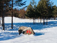 -北极村旅游风景区