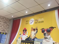 -神采飞扬宠物美容(香港路店)