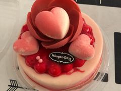 600g花意爱浓蛋糕冰淇淋-哈根达斯(武汉天地店)