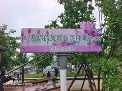 -白洋淀景区
