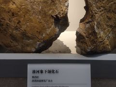 -泗洪县文化艺术中心