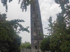 -上海佘山国家森林公园天马山园