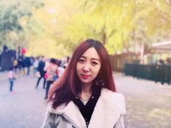 -三里屯东五街银杏大道