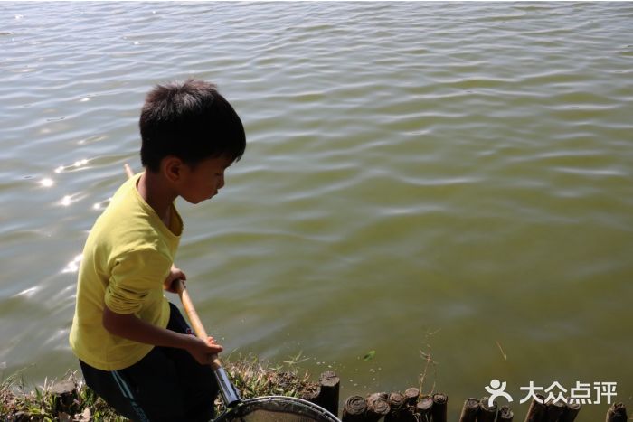 松山湖南湖湾露营营地图片