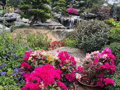 -东莞植物园
