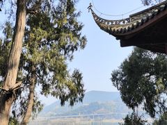 -子昂故里文化旅游区