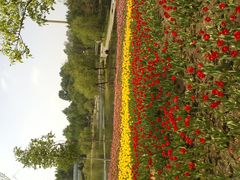 F:\图片\点评\植物园上传\IMG080-沈阳植物园