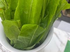 -祁连山开锅羊肉(天通苑店)